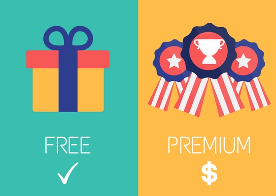 freemium or premium for SaaS