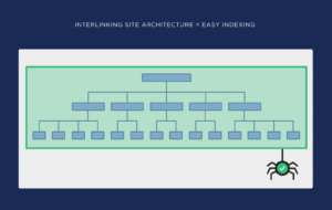 website architecture