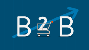 ecommerce - b2b